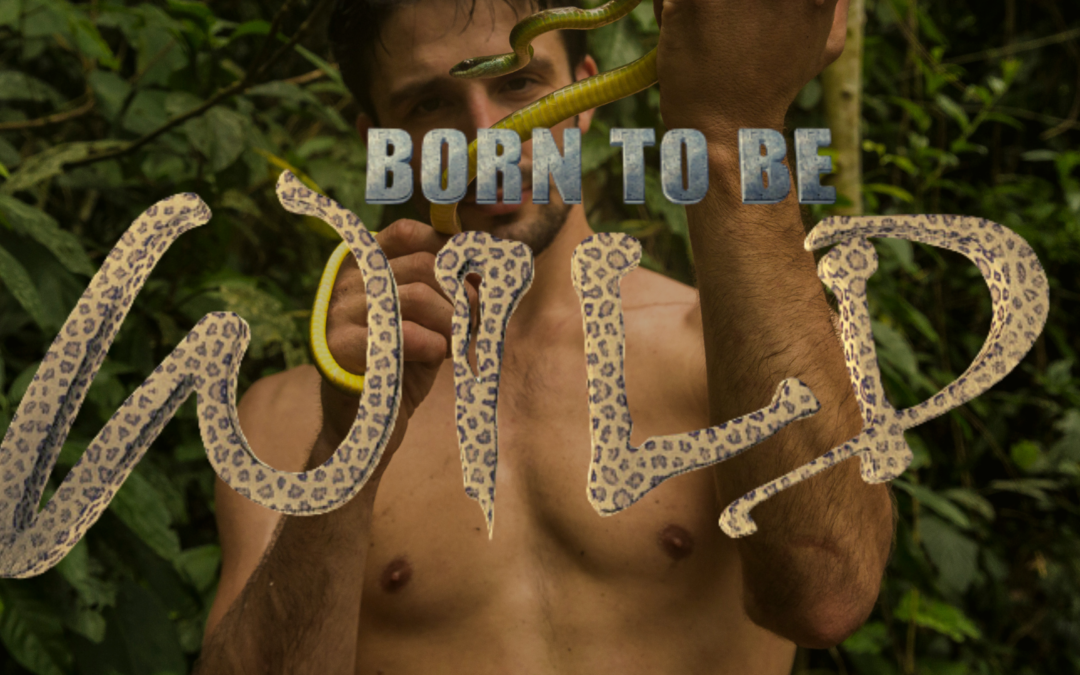 Andrew Ucles: Born to be Wild